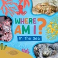 Cover: In the Sea - Enslow Publishing