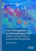 Cover: From (De)regulation to Industrialization? - Palgrave Macmillan