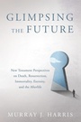 Cover: Glimpsing the Future - Wipf and Stock Publishers