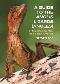 Abbildung von: A Guide to the Anolis Lizards (Anoles) of Mainland Central and South America - Princeton University Press