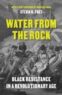 Cover: Water from the Rock - Princeton University Press