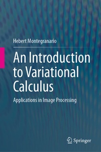 Abbildung von: An Introduction to Variational Calculus - Springer