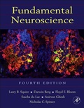 Cover: Fundamental Neuroscience - Academic Press