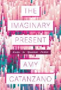 Enlarge image Cover: The Imaginary Present - The University of Michigan Press