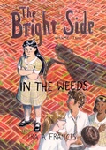 Cover: The Bright Side - IRA a Francis