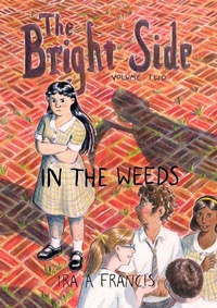 Enlarge image Cover: The Bright Side - IRA a Francis