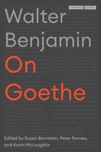 Enlarge image Cover: On Goethe - Stanford University Press