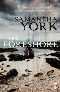 Abbildung von: The Foreshore - Salt Publishing