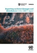 Abbildung von: Reporting on Forest Damages and Disturbances in the UNECE Region - United Nations