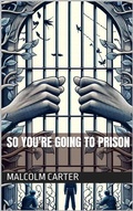 Bild: So You're Going to Prison - Defenestration Press
