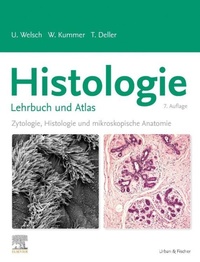 Enlarge image Cover: Histologie - Lehrbuch und Atlas - Urban & Fischer