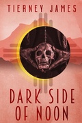 Cover: Dark Side of Noon - L & D Press