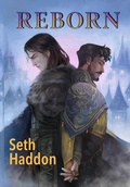 Cover: Reborn - blindeyebooks