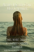 Cover: Attira I Soldi Come Una Calamita Nel Mare Della Consapevolezza Infinita - Michele Blood