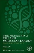 Cover: Epigenetic Regulation of Cancer - Part D: Volume 390 - Academic Press