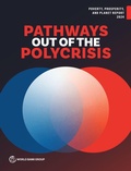 Cover: Poverty, Prosperity, and Planet Report 2024 - World Bank Publications