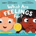 Cover: What Are Feelings For? Board Book - The Good Book Company