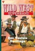 Cover: Des Teufels Zwillinge - Blattwerk Handel GmbH
