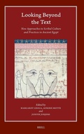 Cover: Looking beyond the Text - Brill