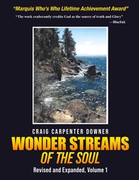 Abbildung von: Wonder Streams Of The Soul - Craig Carpenter Downer
