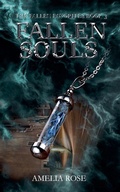 Cover: Fallen Souls - Amelia Rose