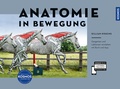 Cover: Anatomie in Bewegung - Kosmos