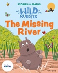 Cover: Stories for Maths: EYFS: The Missing River (Explore 3-D shapes) - Oxford University Press