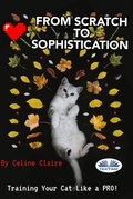Cover: From Scratch To Sophistication - Tektime