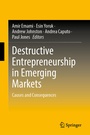 Cover: Destructive Entrepreneurship in Emerging Markets - Springer Nature Switzerland AG