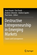 Cover: Destructive Entrepreneurship in Emerging Markets - Springer Nature Switzerland AG