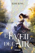 Cover: L'&Eacute;veil de l'Air, T1 : L'&Eacute;veil de l'Air - Bigbang