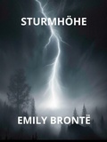 Cover: Sturmh&ouml;he (&Uuml;bersetzt) - Stargatebook