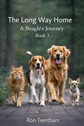 Cover: The Long Way Home Book 3 - RT Dixon