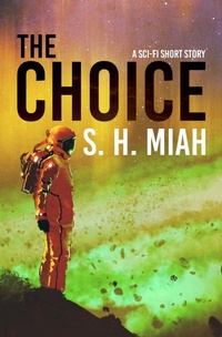 Enlarge image Cover: The Choice - Muslim Fiction Project