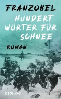 Abbildung von: Hundert Wörter für Schnee - Zsolnay