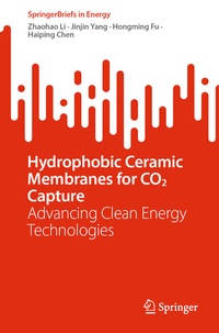 Abbildung von: Hydrophobic Ceramic Membranes for CO2 Capture - Springer