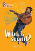 Cover: What is sound? - Collins