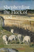 Cover: Shepherding the Flock of God - Lulu.com