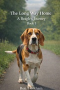 Cover: The Long Way Home Book 1 - Ron Trentham