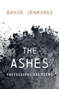 Cover: The Ashes - Wipf and Stock Publishers