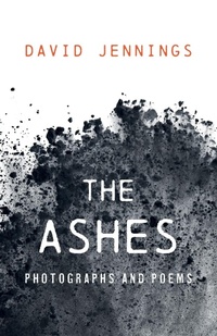 Enlarge image Cover: The Ashes - Resource Publications (CA)