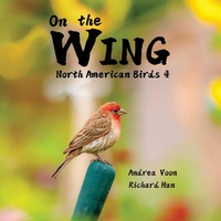 Abbildung von: On the Wing - North American Birds 4 - Hei Greenhouse Studio