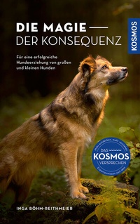 Abbildung von: Die Magie der Konsequenz - Kosmos