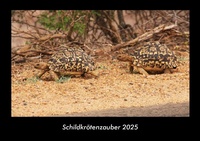 Abbildung von: Schildkrötenzauber 2025 Fotokalender DIN A3 - Vero Kalender
