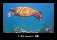 Abbildung von: Schildkrötenzauber 2025 Fotokalender DIN A3 - Vero Kalender