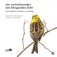Abbildung von: ein zwitscherndes ein klingendes licht - Edition Bildperlen