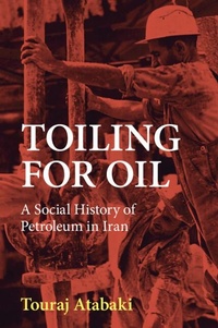 Enlarge image Cover: Toiling for Oil - Cambridge University Press