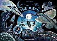 Enlarge image Cover: The Ocean at Night - Pushkin Children's Books