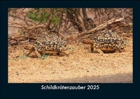 Abbildung von: Schildkrötenzauber 2025 Fotokalender DIN A5 - Vero Kalender