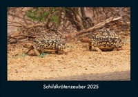 Abbildung von: Schildkrötenzauber 2025 Fotokalender DIN A4 - Vero Kalender